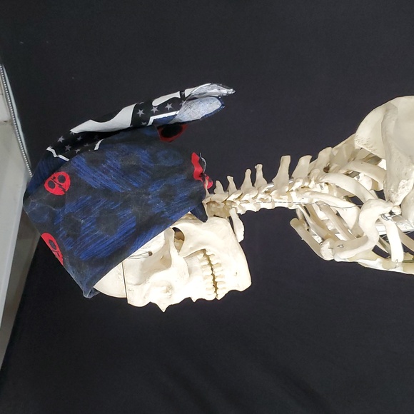 VTG Hot Topic Skelanimals Kit The Cat Square Bandana Scarf Accessory Sz 20"x 20" - Picture 12 of 16